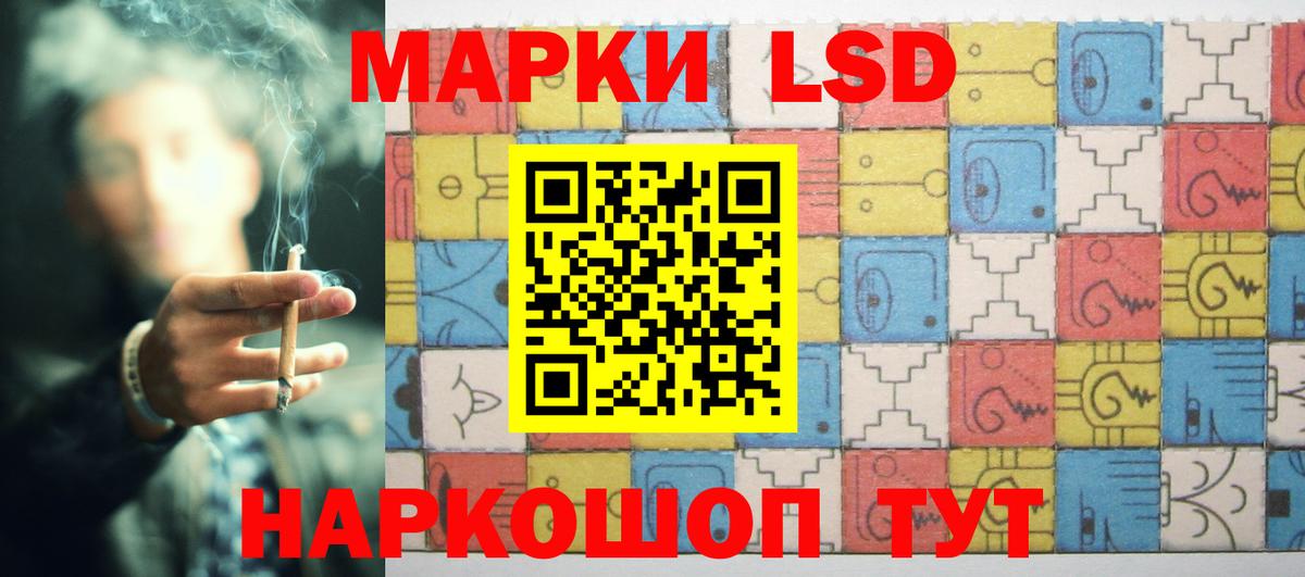 Псилоцибиновые грибы Дивногорск