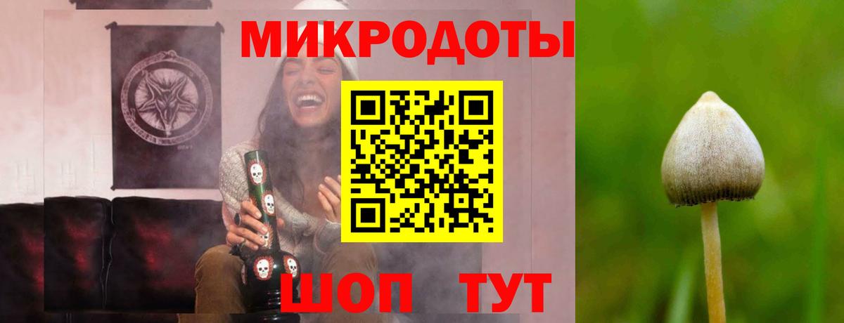 Дивногорск  Псилоцибиновые грибы мухоморы  Галлюциногенные грибы прущие грибы  хочу наркоту  Вход с VPN 